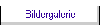 Bildergalerie